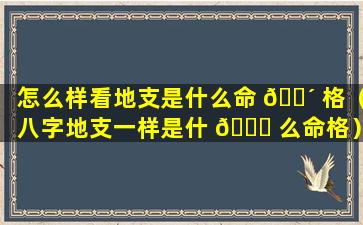 怎么样看地支是什么命 🐴 格（八字地支一样是什 🐛 么命格）